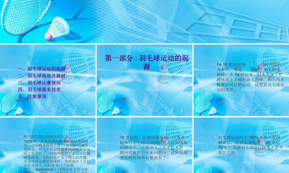 羽毛球基本知识