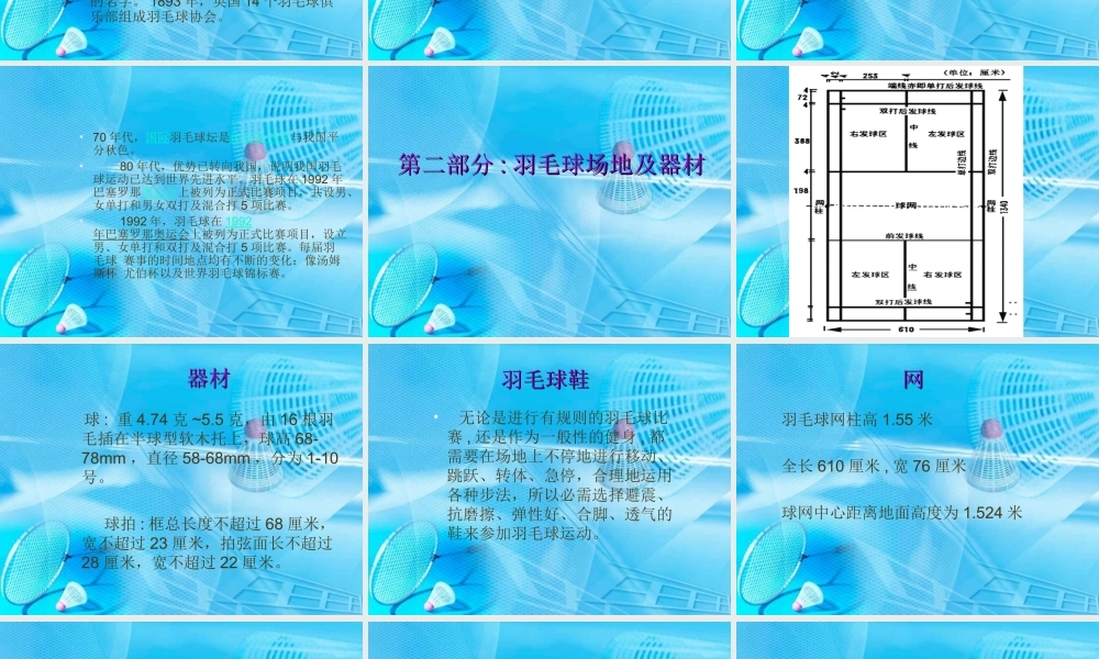 羽毛球基本知识
