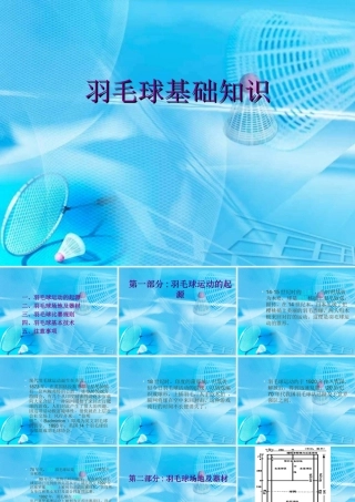 羽毛球基本知识