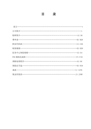 (美国友邦保险)产品手册大全