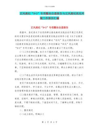 正风肃纪“9+3”专项整治自查报告与正风肃纪优化环境工作报告汇编