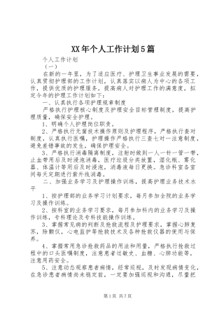 XX年个人工作计划5篇