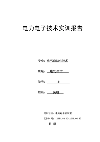 电力电子技术实训报告
