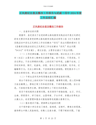 正风肃纪自查及整改工作报告与武威十四中2024年度工作总结汇编