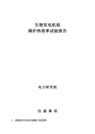 生物质锅炉 30MW机组锅炉热效率 试验报告