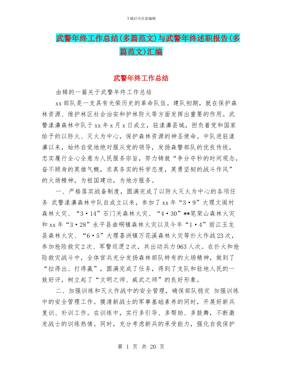 武警年终工作总结与武警年终述职报告(多篇范文)汇编_第1页