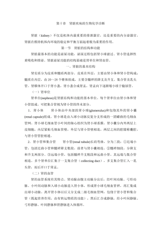 肾脏疾病的生物化学诊断