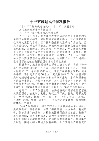 十三五规划执行情况报告 