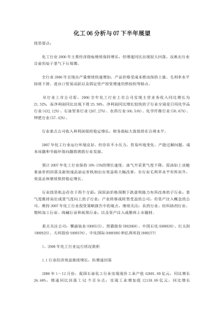 化工06分析与07下半年展望