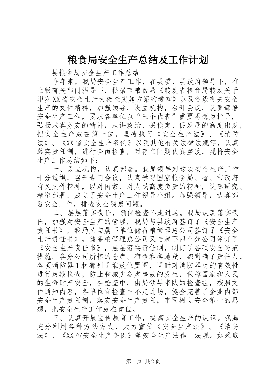 粮食局安全生产总结及工作计划 _第1页