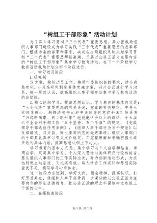 “树组工干部形象”活动计划 