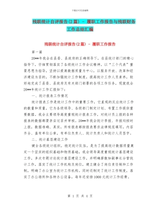 残联统计自评报告