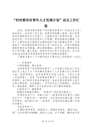 “村村都有好青年人才发展计划”试点工作汇报 