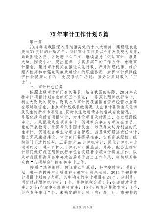 XX年审计工作计划5篇