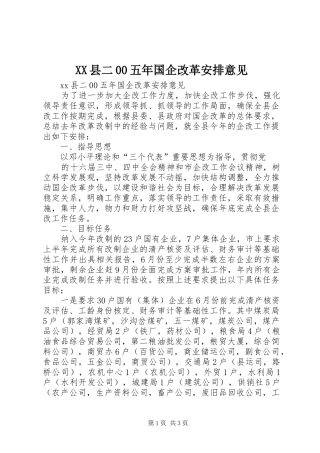 XX县二00五年国企改革安排意见 