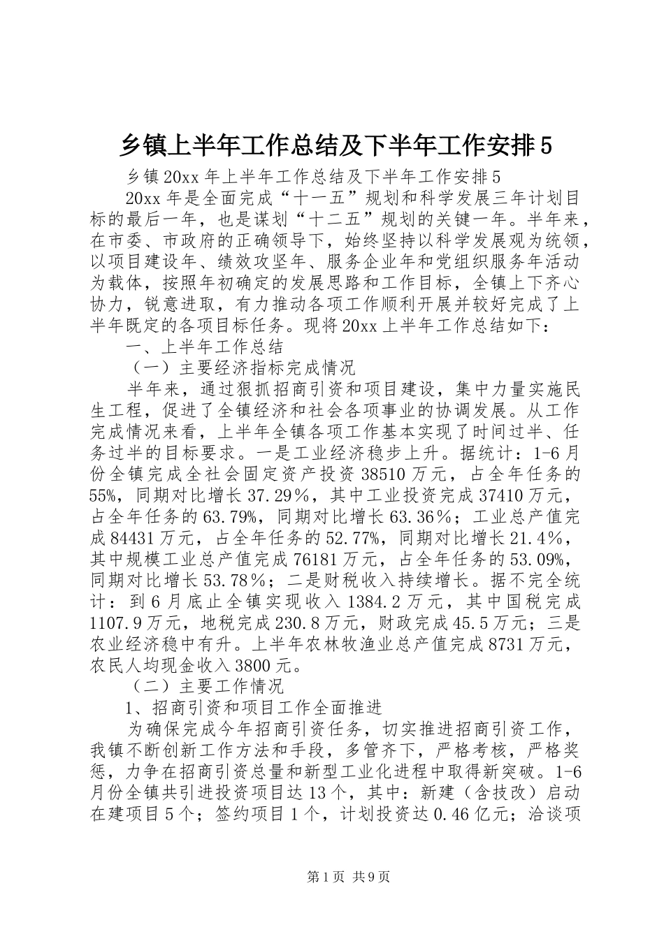 乡镇上半年工作总结及下半年工作安排5_第1页