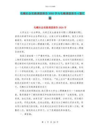 毛概社会实践调查报告3000字与毛概调查报告4篇汇编