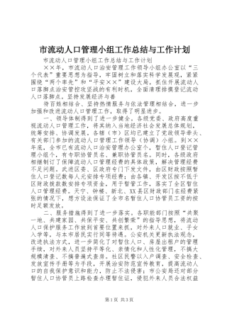 市流动人口管理小组工作总结与工作计划 