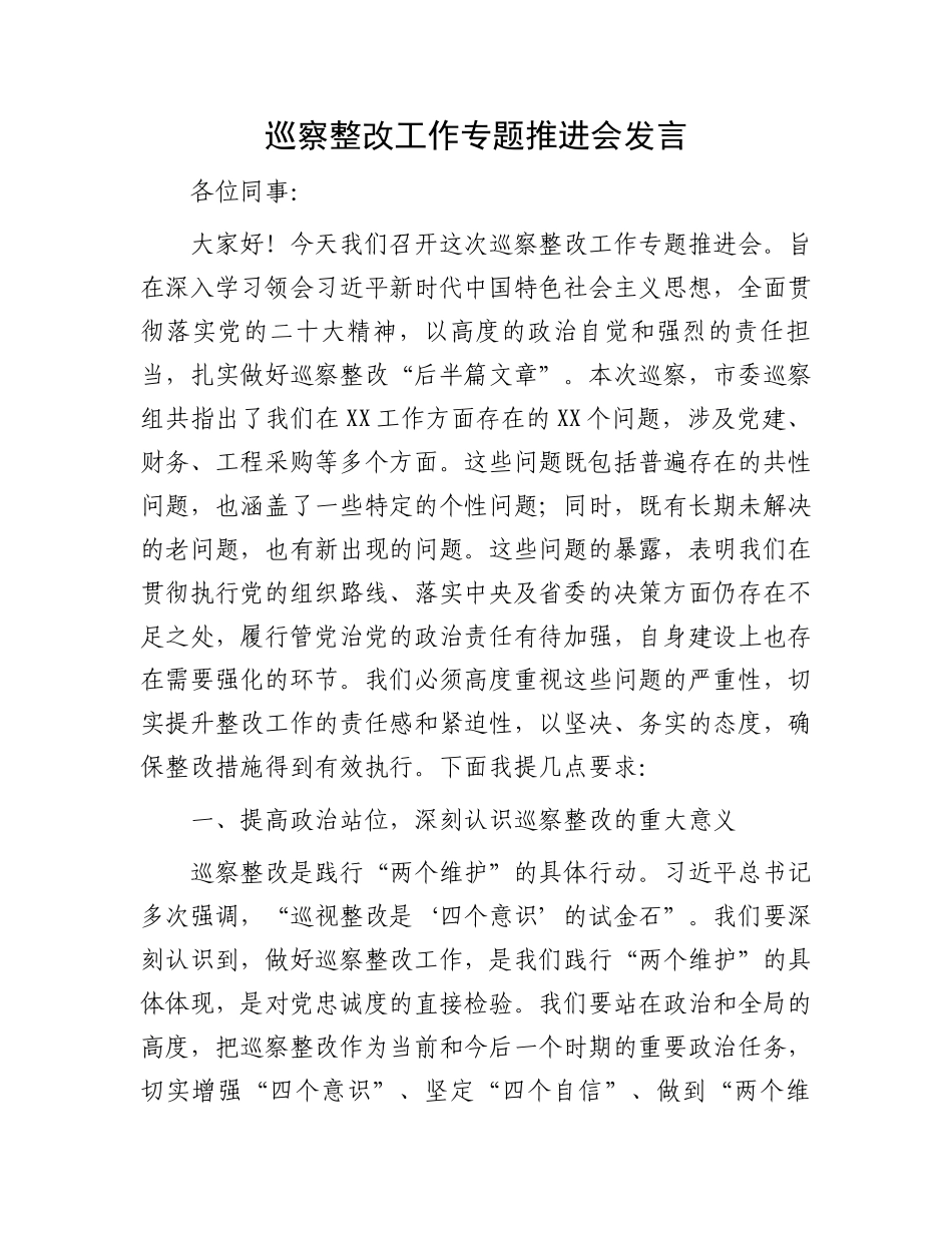 巡察整改工作专题推进会发言_第1页