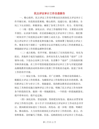 民主评议审计工作自查报告