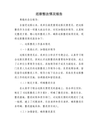 巡察整改情况报告