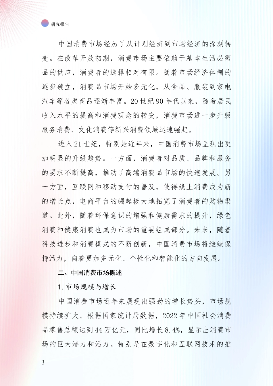 2024年-2025年消费市场前景及趋势分析项目可行性研究报告_第3页