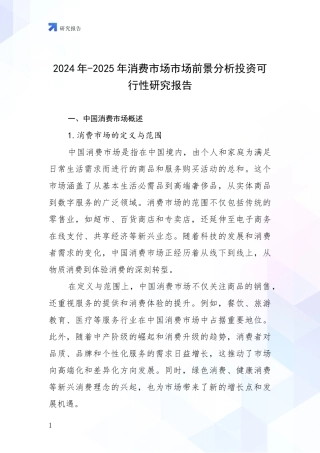 2024年-2025年消费市场市场前景分析投资可行性研究报告
