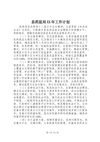 县药监局XX年工作计划 