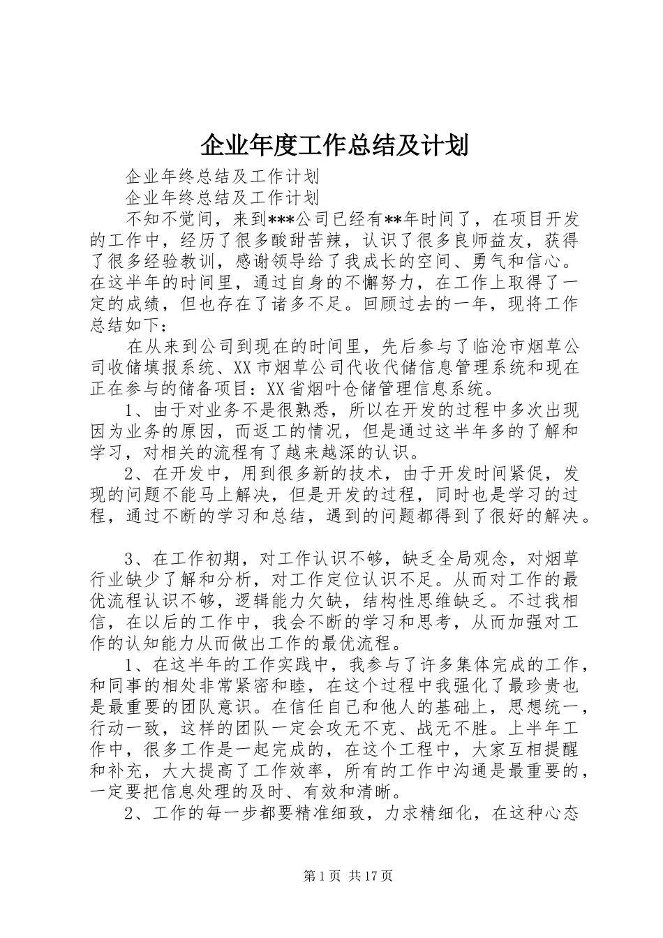 企业年度工作总结及计划 _第1页