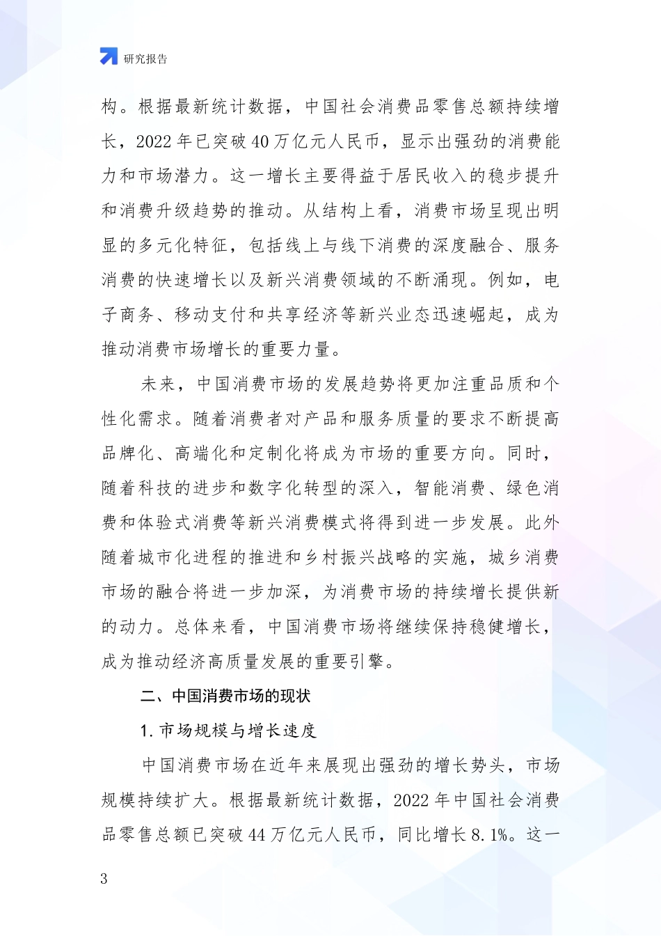 2024年-2025年消费市场总体发展情况及未来发展情况分析调研报告_第3页