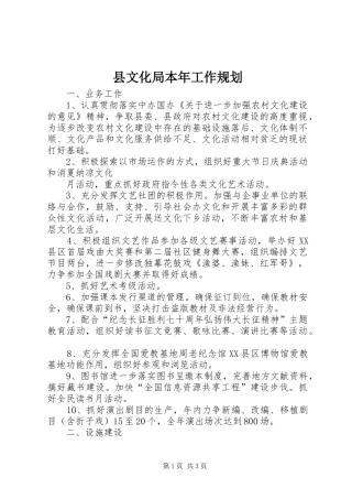 县文化局本年工作规划 