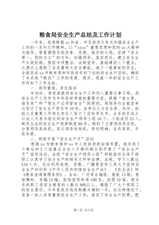 粮食局安全生产总结及工作计划 