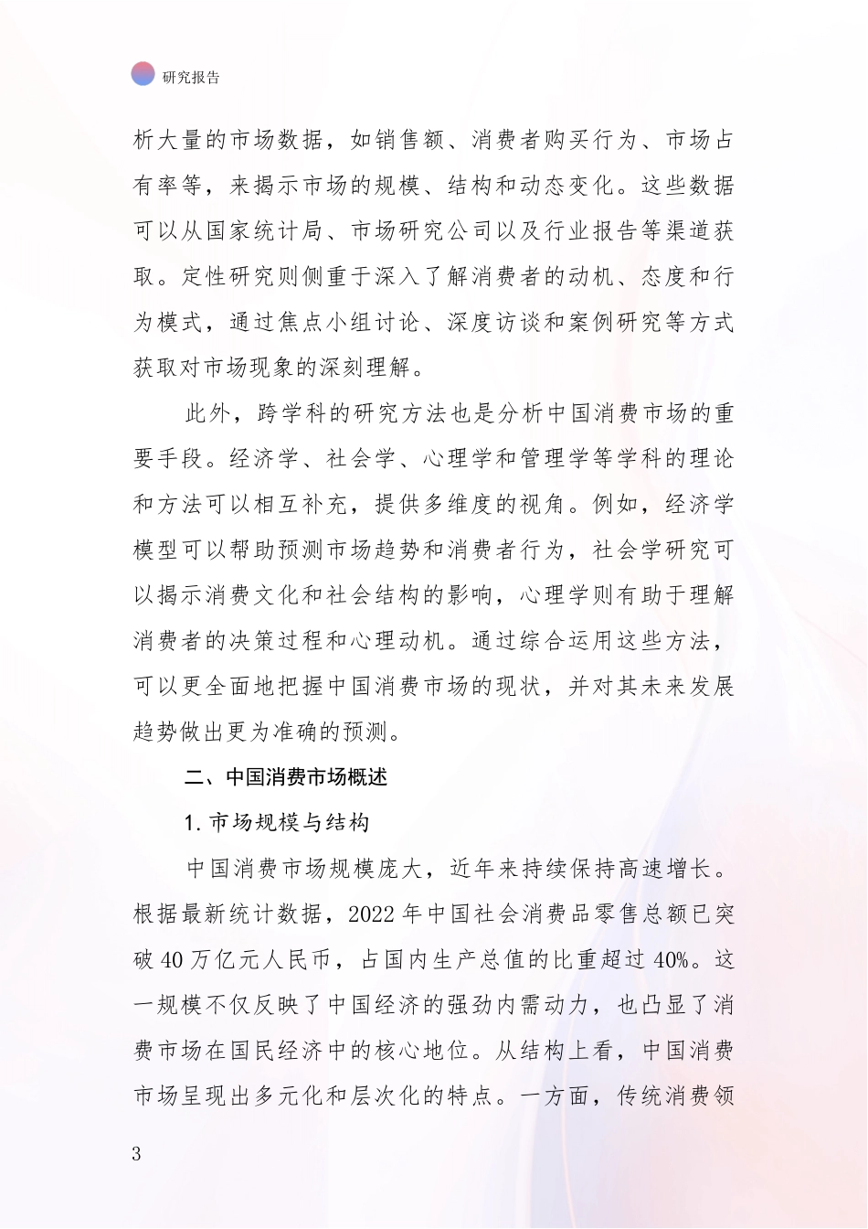 2024年-2025年消费市场总体发展情况及未来发展情况分析项目可行性分析报告_第3页