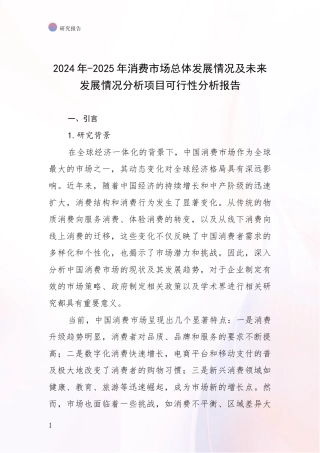 2024年-2025年消费市场总体发展情况及未来发展情况分析项目可行性分析报告