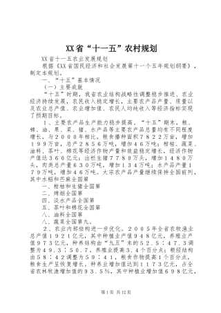 XX省“十一五”农村规划 