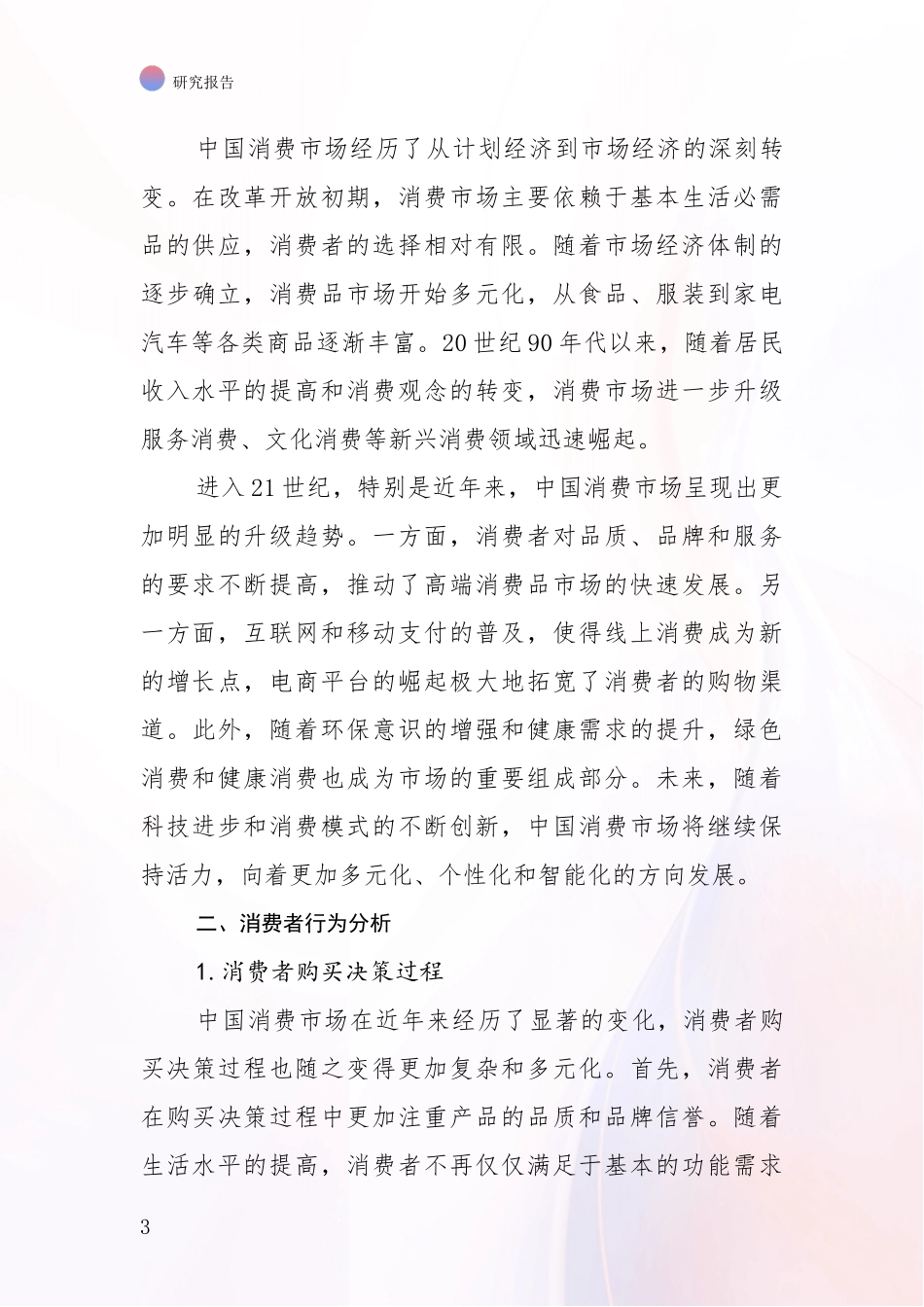 2024年-2025年消费市场总体情况及发展分析报告_第3页