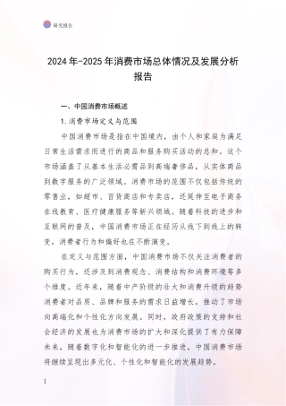2024年-2025年消费市场总体情况及发展分析报告