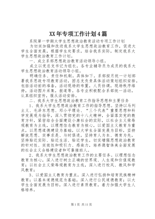 XX年专项工作计划4篇