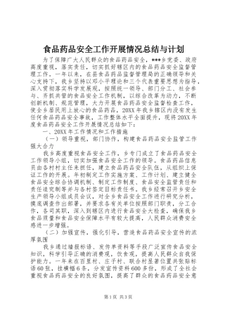 食品药品安全工作开展情况总结与计划 