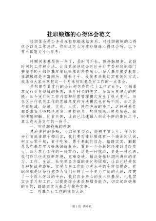 挂职锻炼的心得体会范文