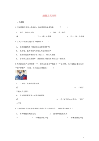 2024年中考物理总复习透镜及其应用专项训练含解析