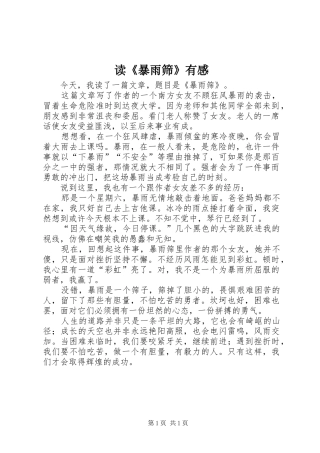 读《暴雨筛》有感