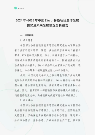 2024年-2025年中国EVA小杯垫项目总体发展情况及未来发展情况分析报告