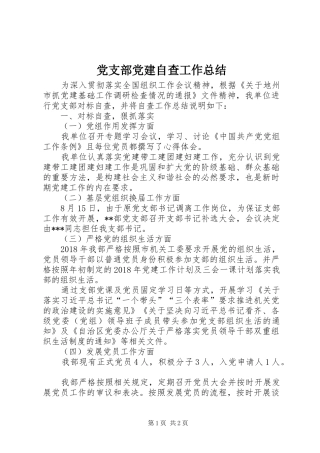 党支部党建自查工作总结