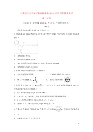 云南省文山马关实验高级中学2024_2025学年高二化学上学期期末考试试题