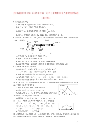 四川省射洪市2024_2025学年高一化学上学期期末能力素质监测试题英才班