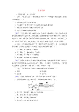 新教材2024年高中生物第4章基因的表达章末检测新人教版必修2