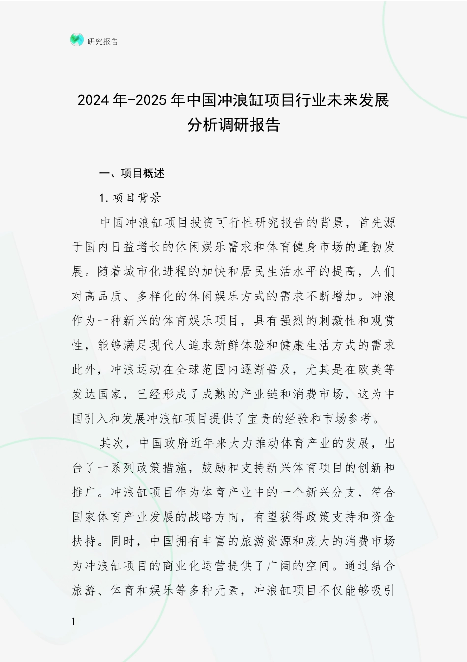2024年-2025年中国冲浪缸项目行业未来发展分析调研报告_第1页