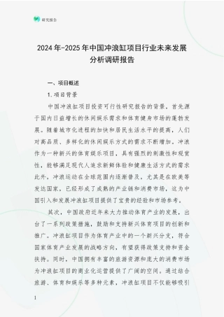 2024年-2025年中国冲浪缸项目行业未来发展分析调研报告