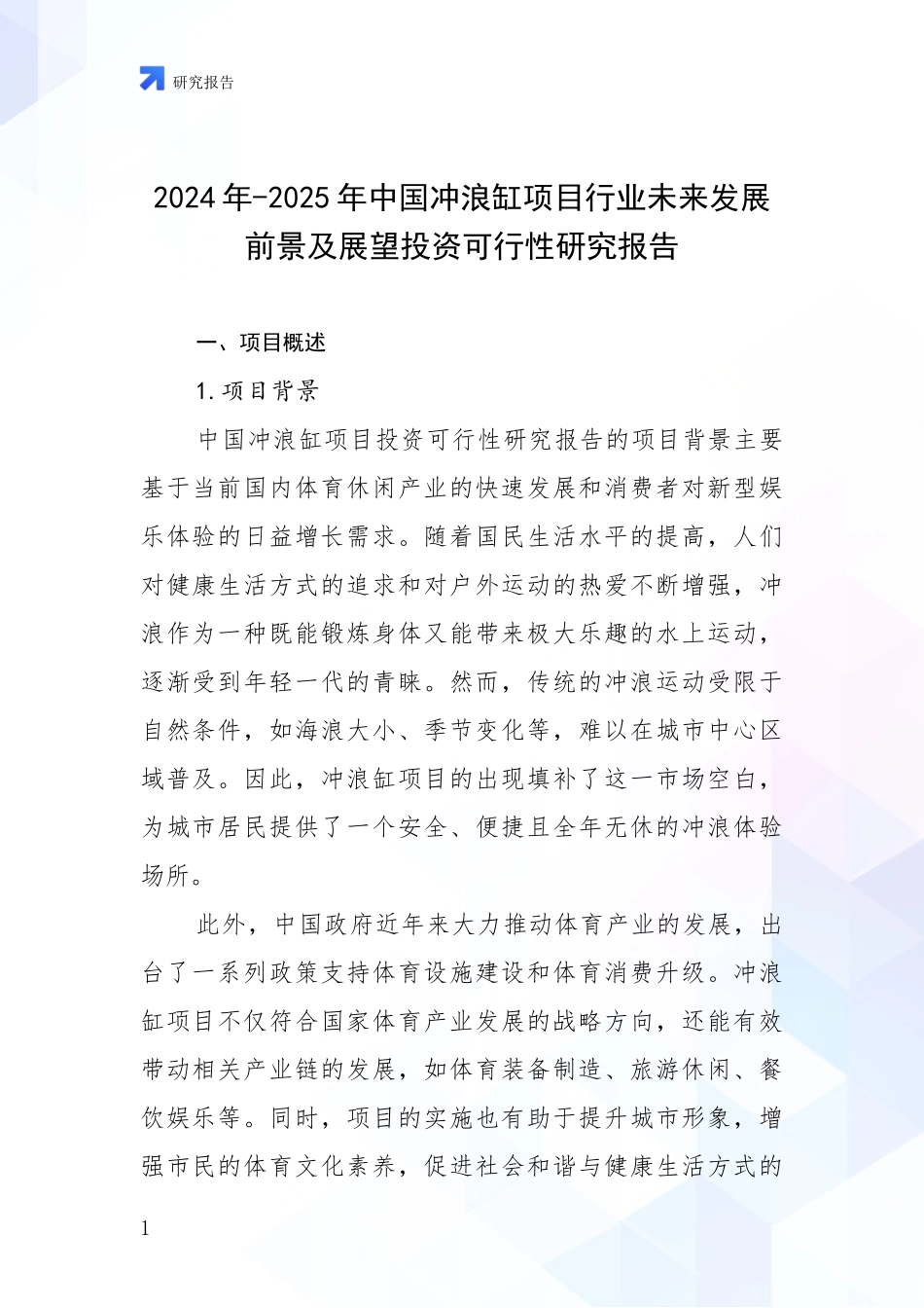 2024年-2025年中国冲浪缸项目行业未来发展前景及展望投资可行性研究报告_第1页
